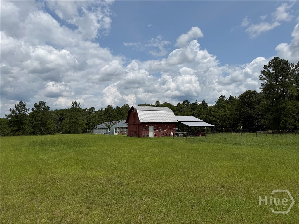 479 Old Poor Robin Road Sylvania, GA 30467 - Photo 19 of 22