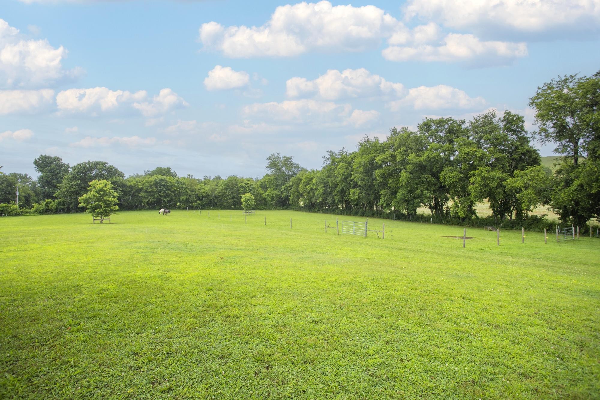 192 Webster Road Cornersville, TN 37047 - Photo 61 of 74 Gallery Image 61