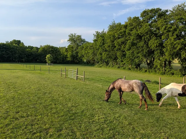 $599,000 | 192 Webster Road, Cornersville, TN 37047