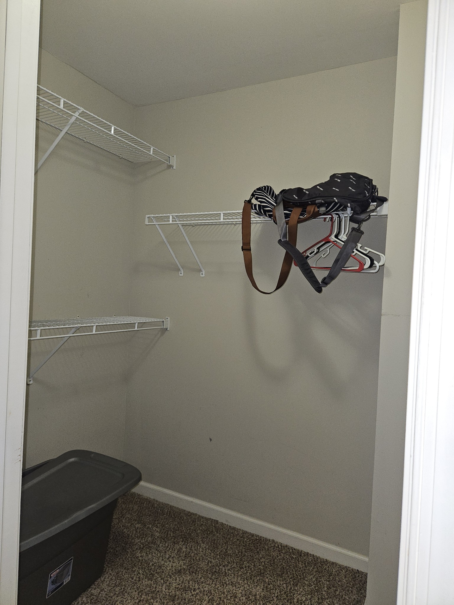 3401 Anderson Road, Unit 34 Antioch, TN 37013 - Photo 16 of 23 a bathroom with a shower