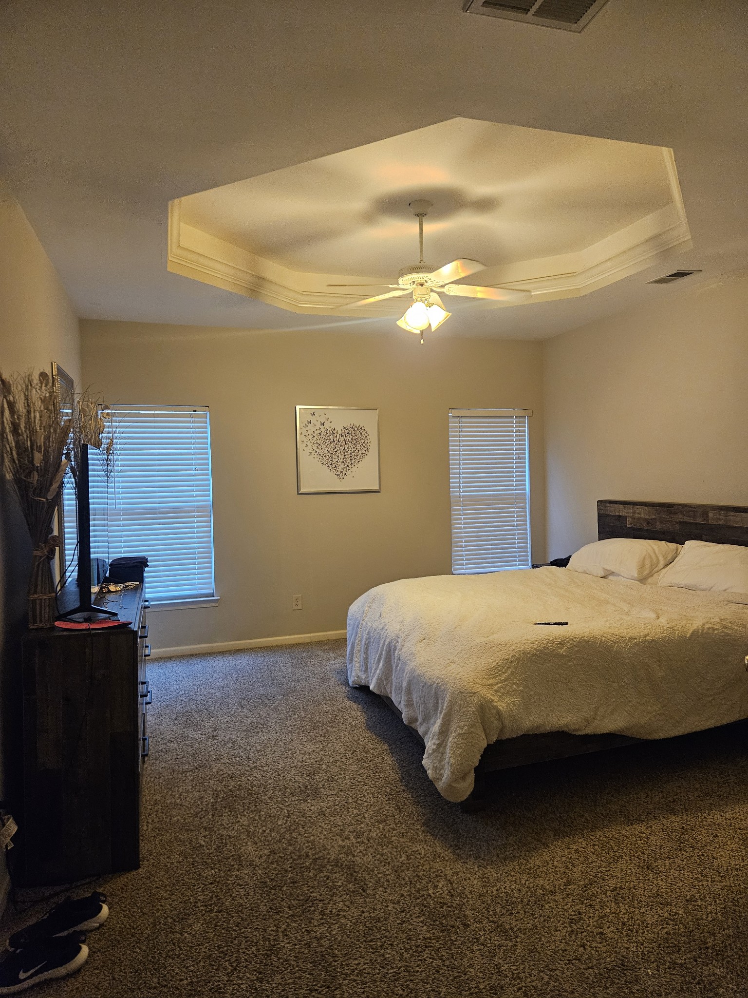 3401 Anderson Road, Unit 34 Antioch, TN 37013 - Photo 5 of 23 a bedroom with a bed and dresser