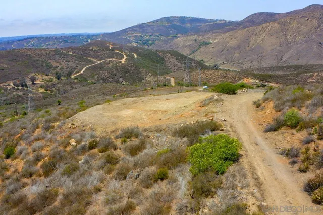 a view of a yard with trees