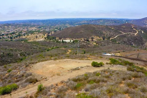 a view of a plant in a garden