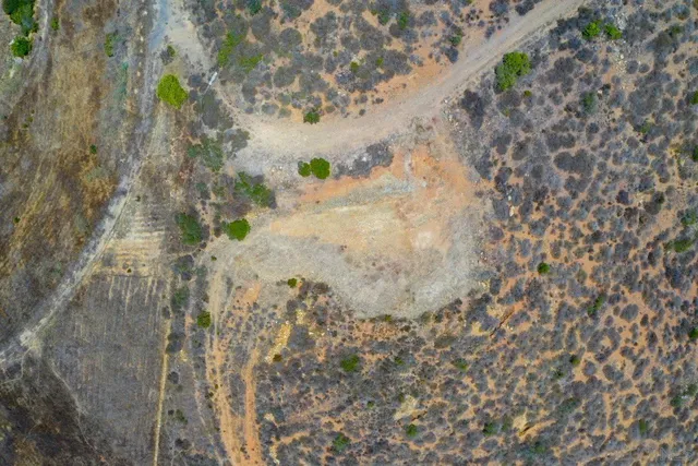 a view of a dry yard with trees