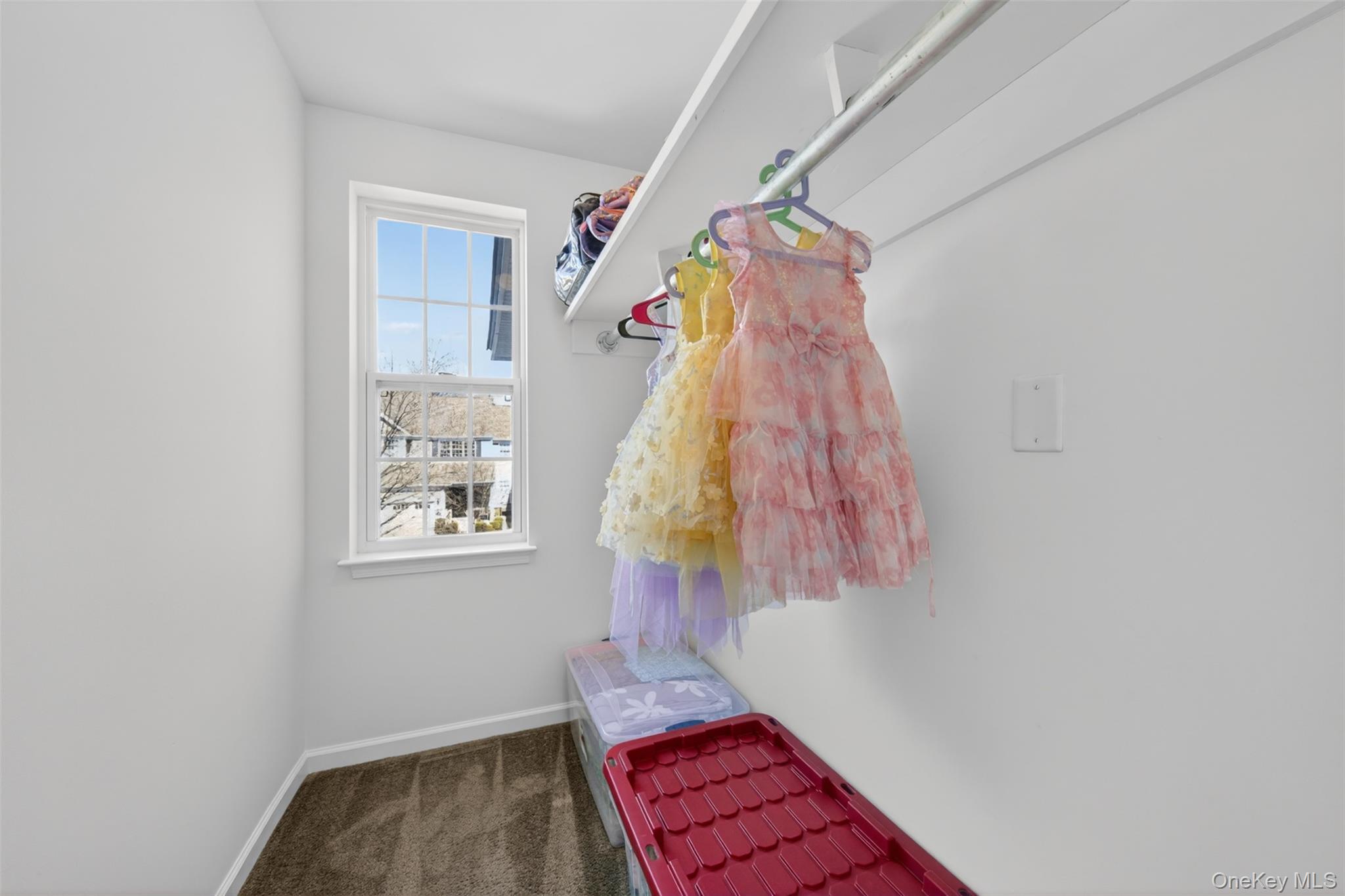 33 Pritchard Court Fishkill, NY 12524 - Photo 23 of 47 2nd bedroom with walk-in closet and natural light from window.