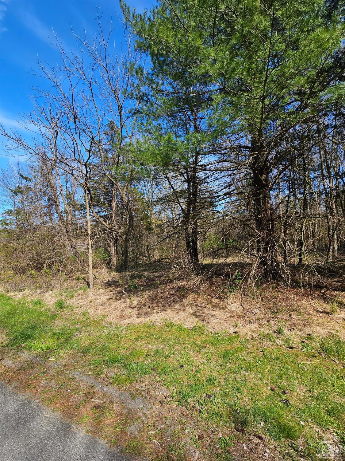 1105 Sleepy Hollow Road Athens, NY 12015 - Photo 3 of 10 Photo 3