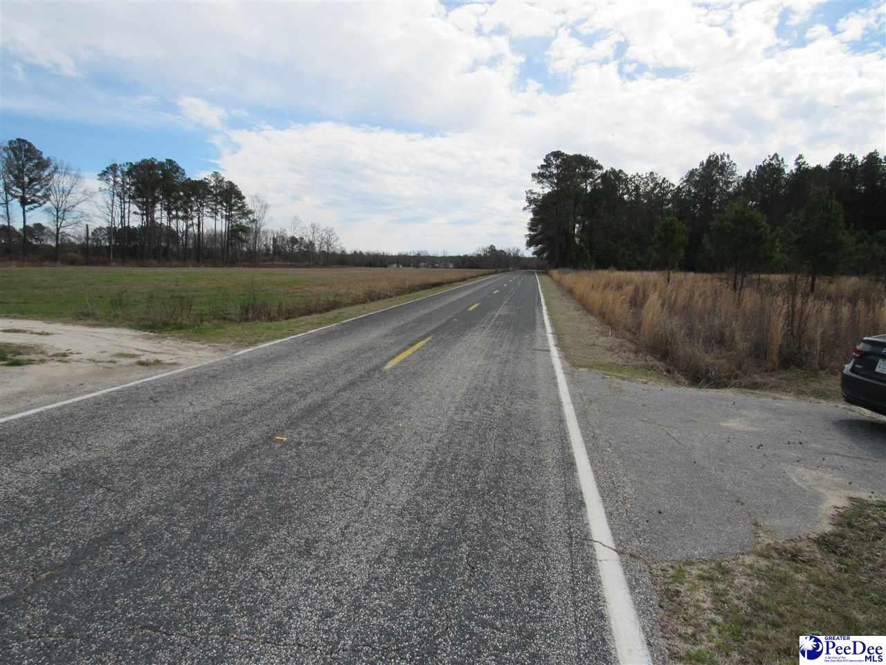 Tbd East Lynches River Road Lamar, SC 29069 - Photo 4 of 8 Gallery Image 4
