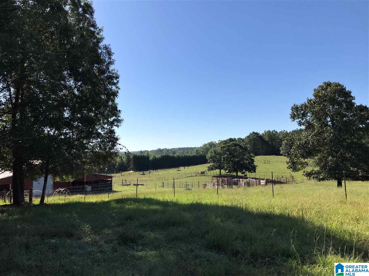 5425 East Mill Road Lineville, AL 36266 - Photo 34 of 50