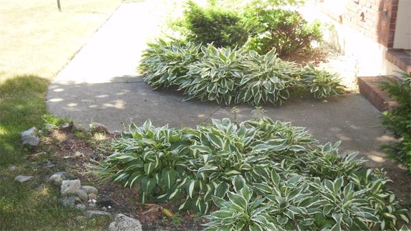 33 Lawndale Road Stoneham, MA 02180 - Photo 4 of 16 Gallery Image 4