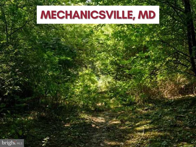 a sign that is sitting in front of a tree