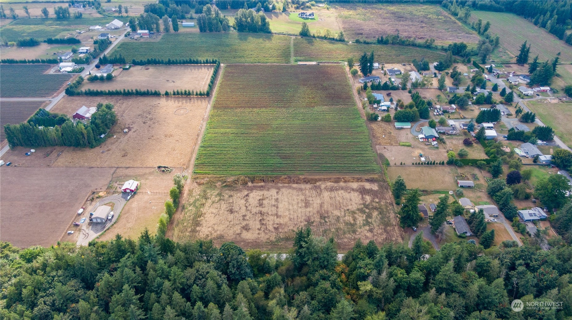 6573 Mission Road Everson, WA 98247 - Photo 8 of 40 an aerial view of residential houses with outdoor space