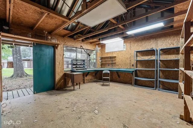 a view of backyard with plants and trees