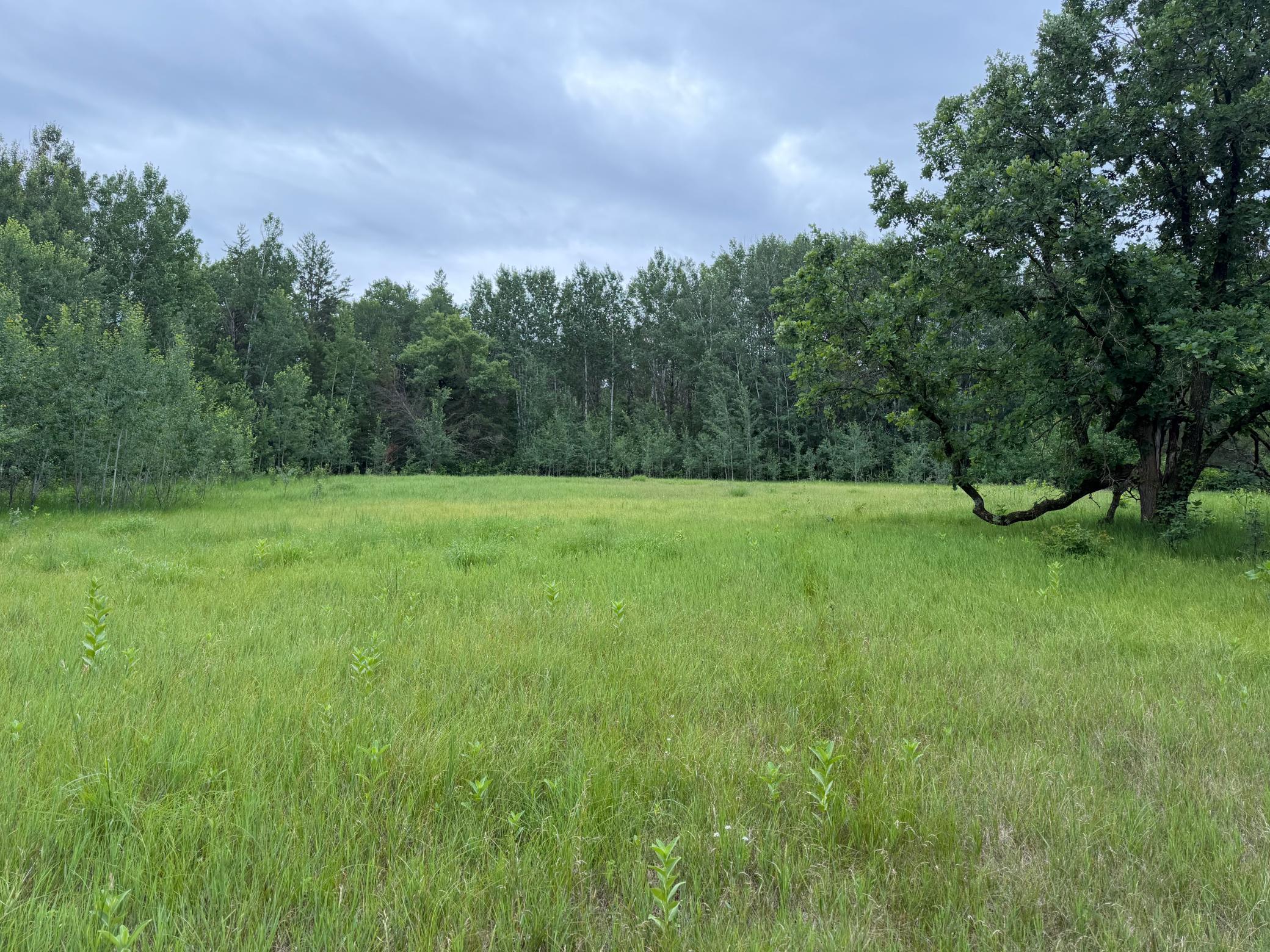 Tbd 350th Street Sebeka, MN 56477 - Photo 67 of 100