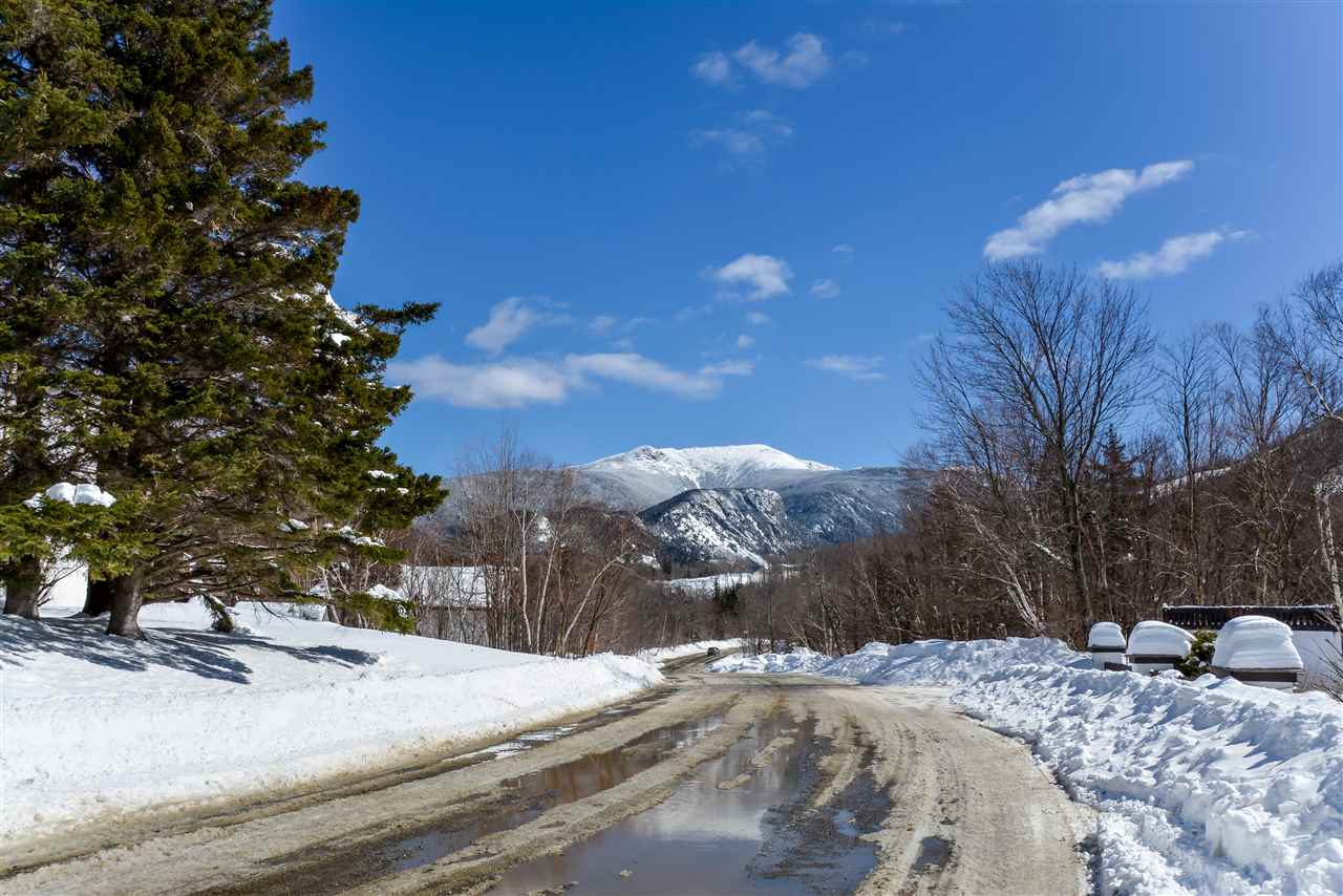 182 Mittersill Road Franconia, NH 03580 - Photo 40 of 40