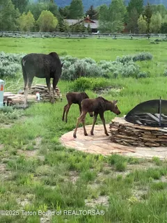 $6,975,000 | 10200 North West Meadow Road, Jackson, WY 83001