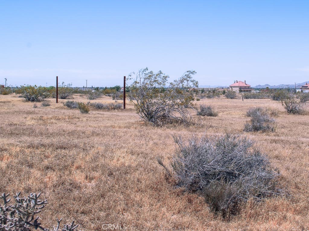 a view of a dry yard with wooden fence