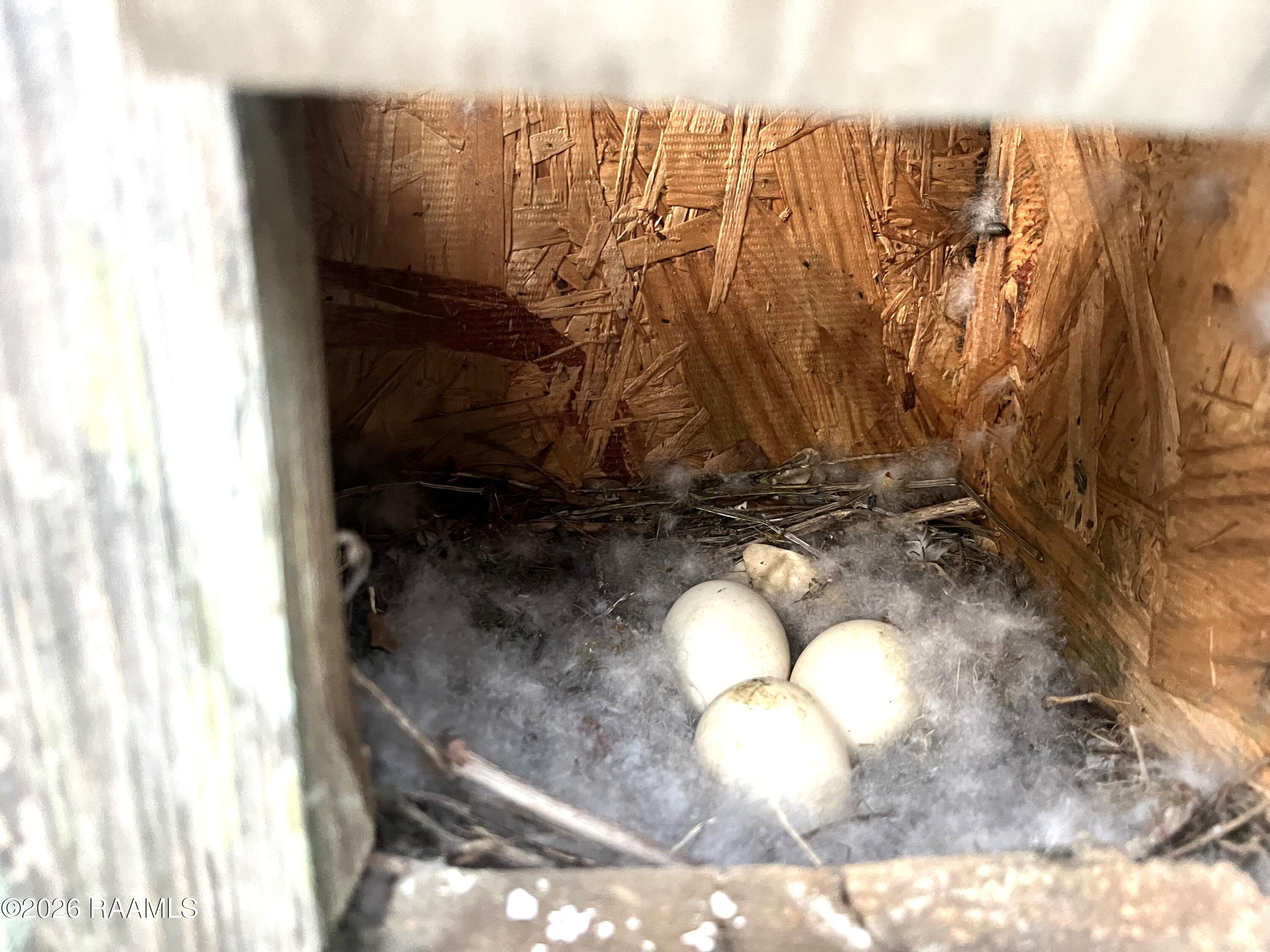 359 Sandpiper Place Sunset, LA 70584 - Photo 43 of 49 IMG_2947