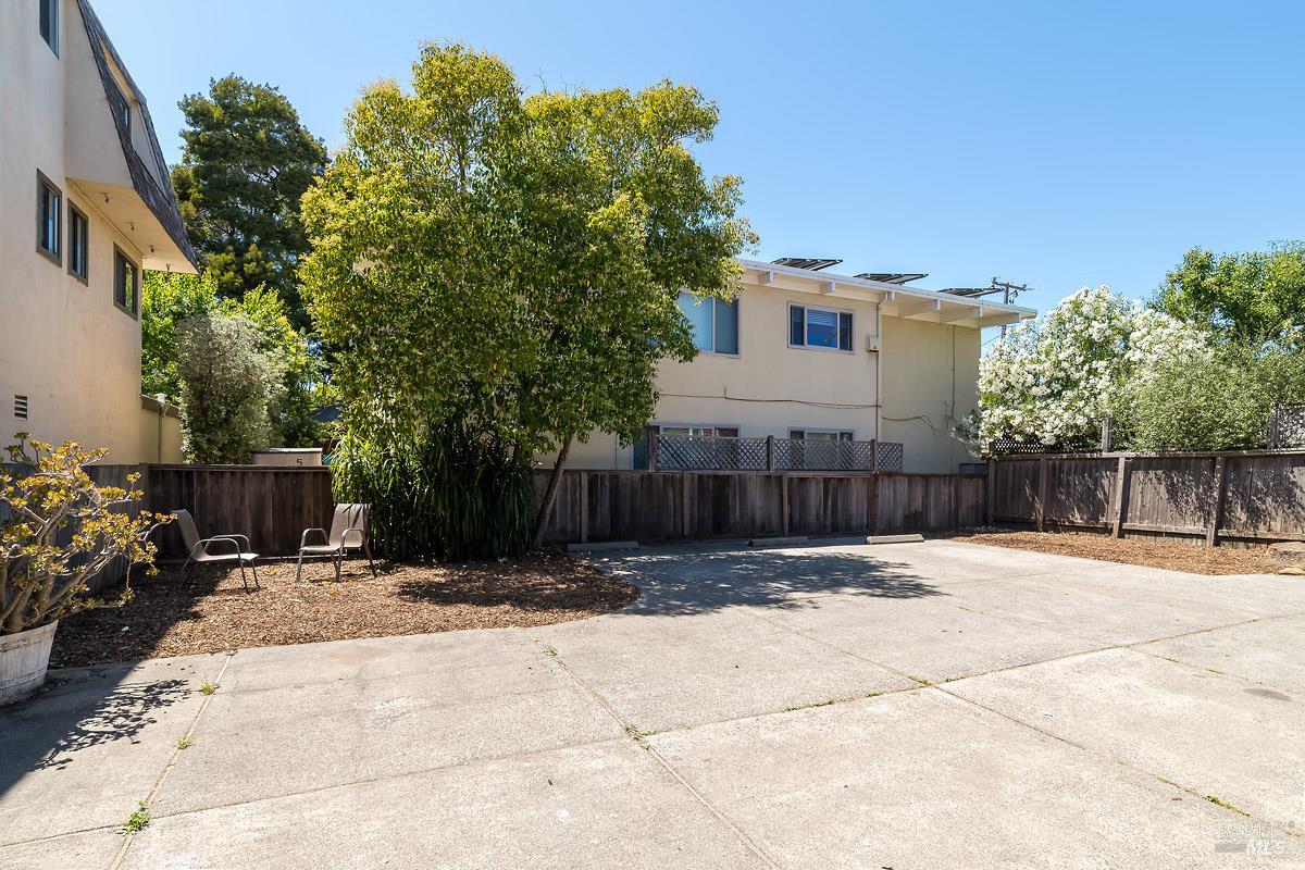 523 B Street San Rafael, CA 94901 - Photo 36 of 37 a view of backyard with potted plants and a palm tree