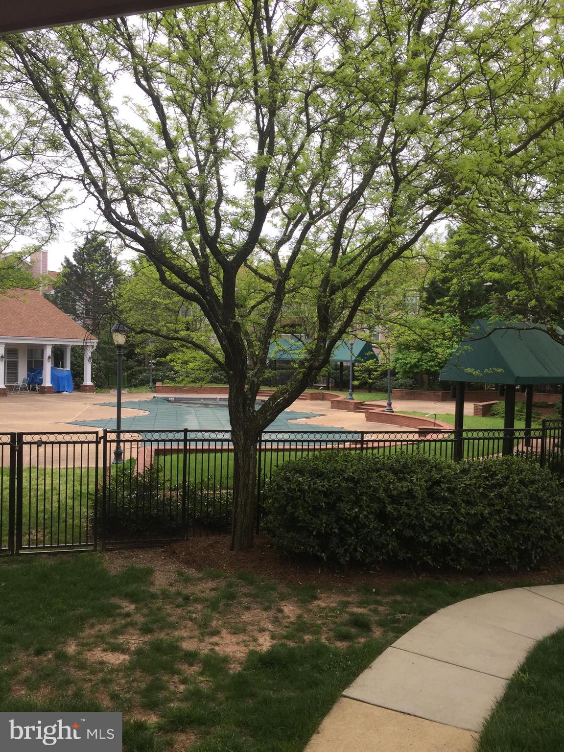 21029 Timber Ridge Terrace Ashburn, VA 20147 - Photo 2 of 2 your view, cannot beat it!