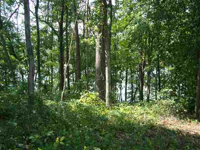 409 Beamer Drive Anderson, SC 29621 - Photo 11 of 14 Gallery Image 11