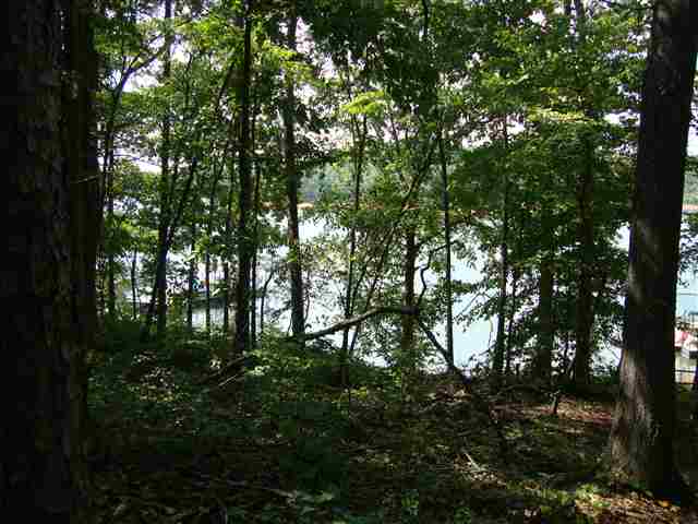 409 Beamer Drive Anderson, SC 29621 - Photo 2 of 14 Gallery Image 2