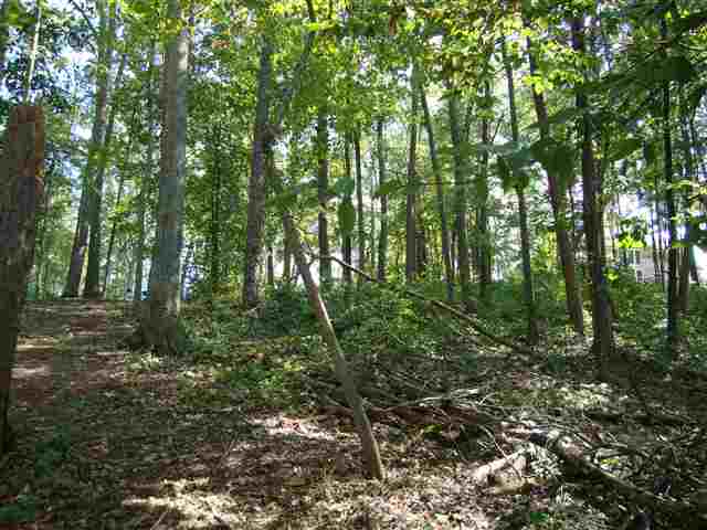 409 Beamer Drive Anderson, SC 29621 - Photo 3 of 14 Gallery Image 3