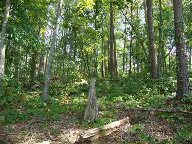 409 Beamer Drive Anderson, SC 29621 - Photo 8 of 14 Gallery Image 8