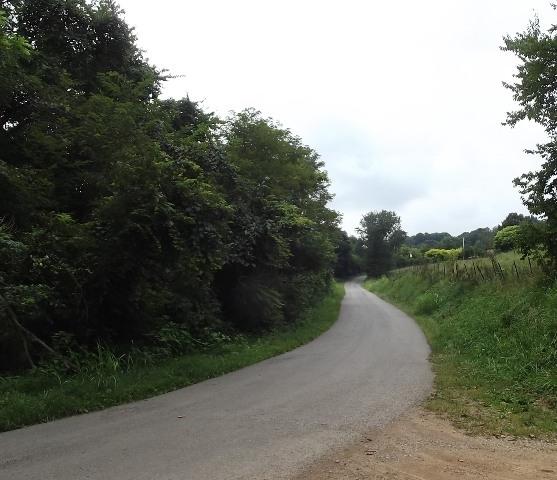 230 Newman Hollow Road Bean Station, TN 37708 - Photo 3 of 5 3