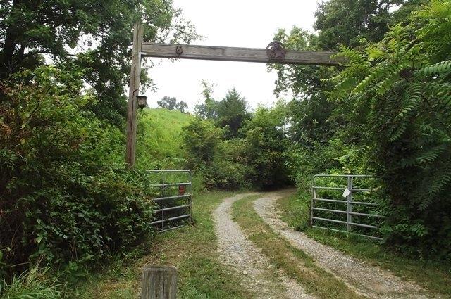 230 Newman Hollow Road Bean Station, TN 37708 - Photo 5 of 5 5