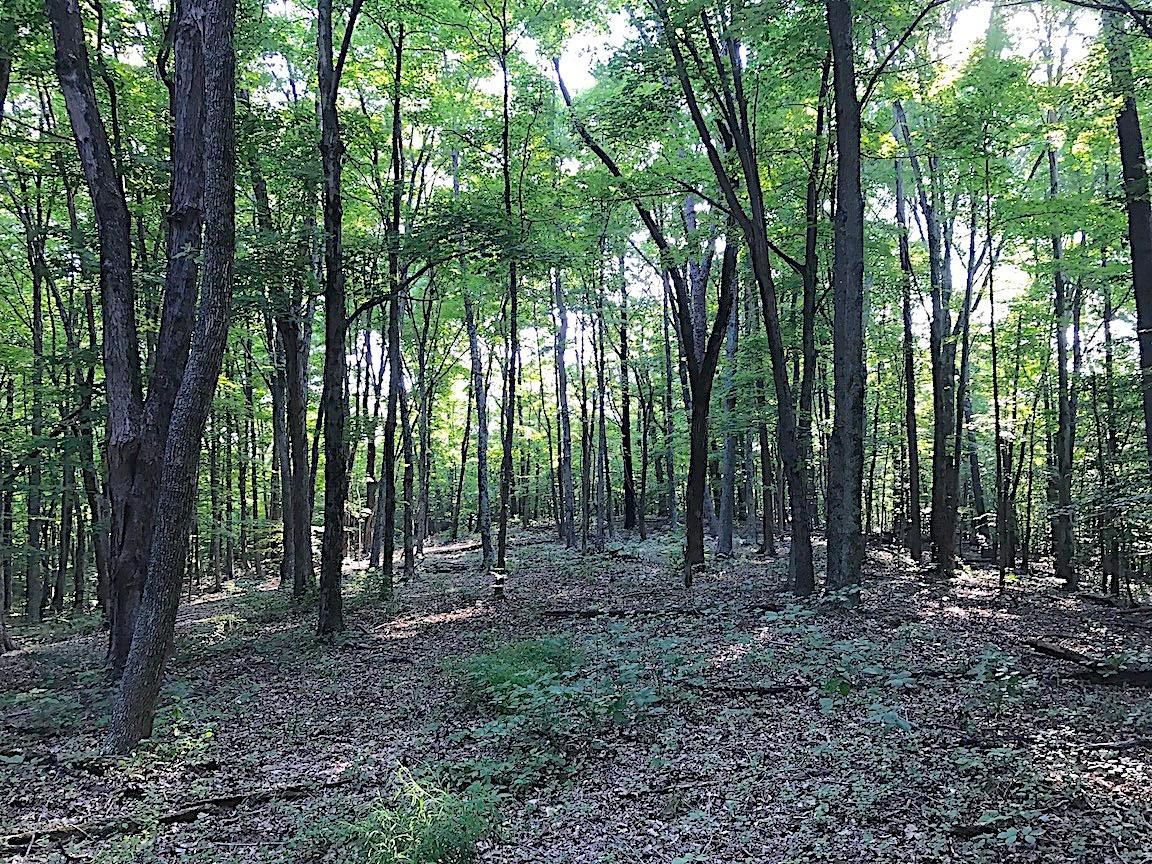 0 Hartsook Road Vinton, OH 45686 - Photo 23 of 42 Gallery Image 23