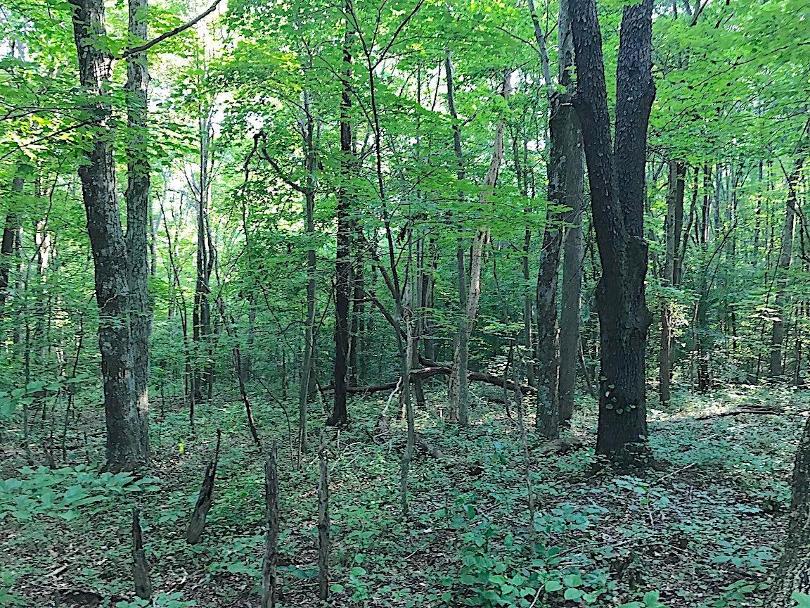0 Hartsook Road Vinton, OH 45686 - Photo 29 of 42 Gallery Image 29
