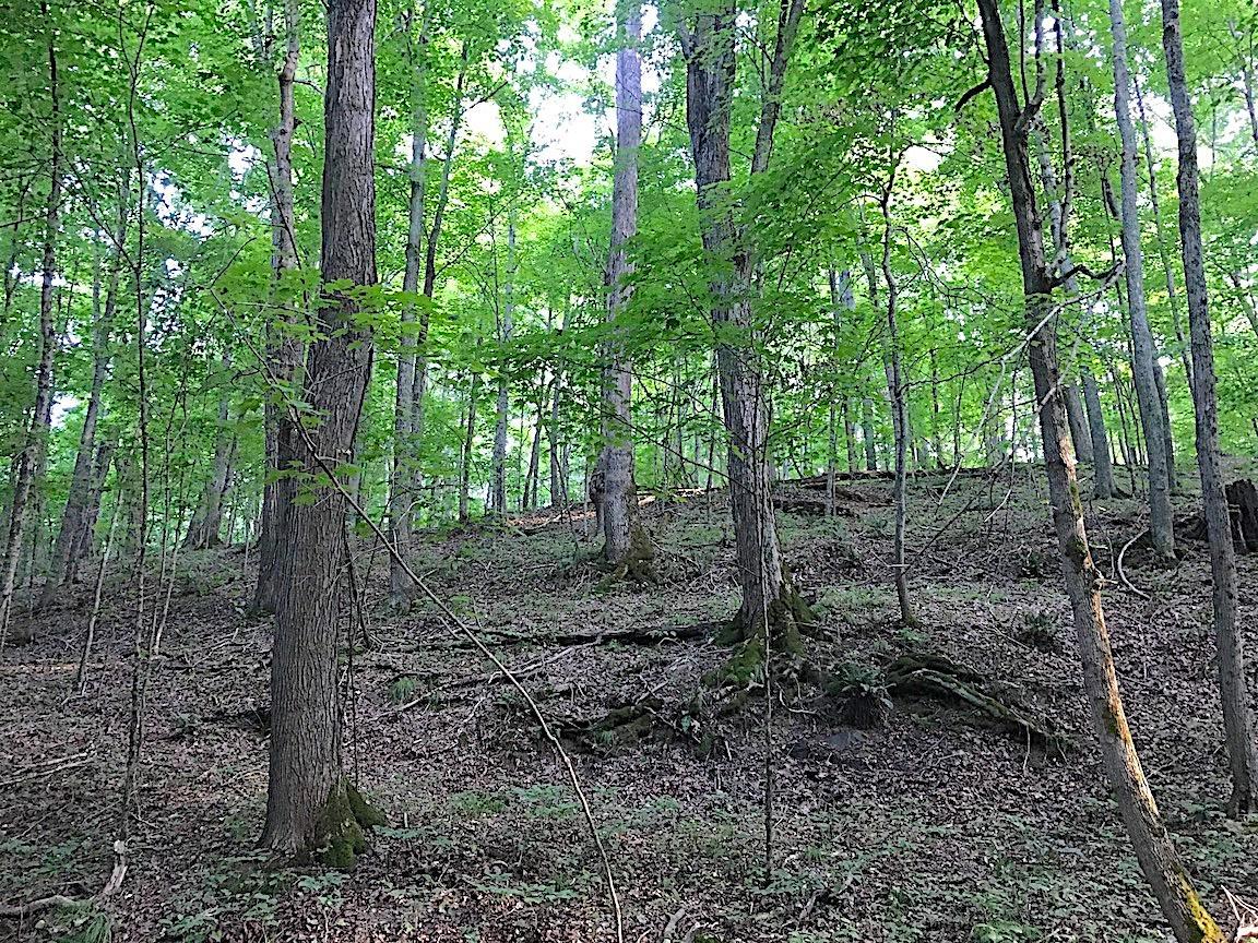 0 Hartsook Road Vinton, OH 45686 - Photo 35 of 42 Gallery Image 35