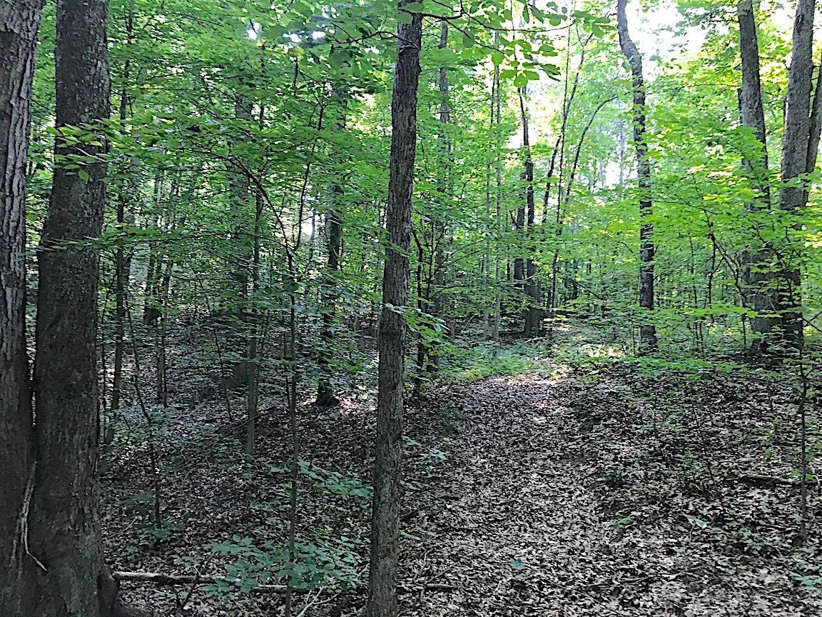0 Hartsook Road Vinton, OH 45686 - Photo 5 of 42 Gallery Image 5