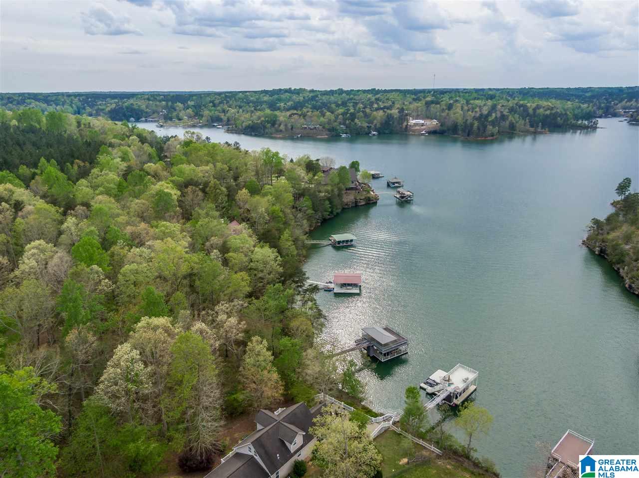 0 Sipsey Pines Road, Unit 133 Arley, AL 35541 - Photo 1 of 8