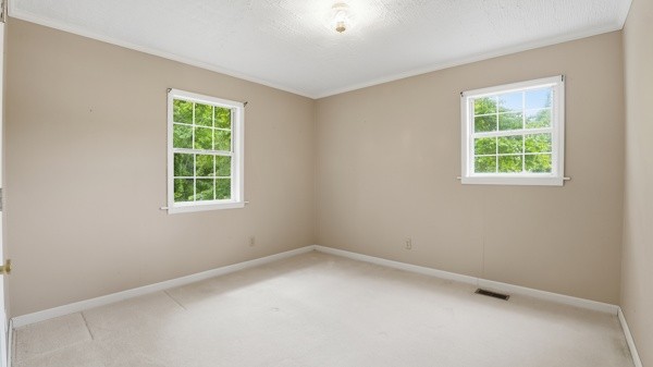 91 Golden Road Lynchburg, TN 37352 - Photo 15 of 24 Gallery Image 15