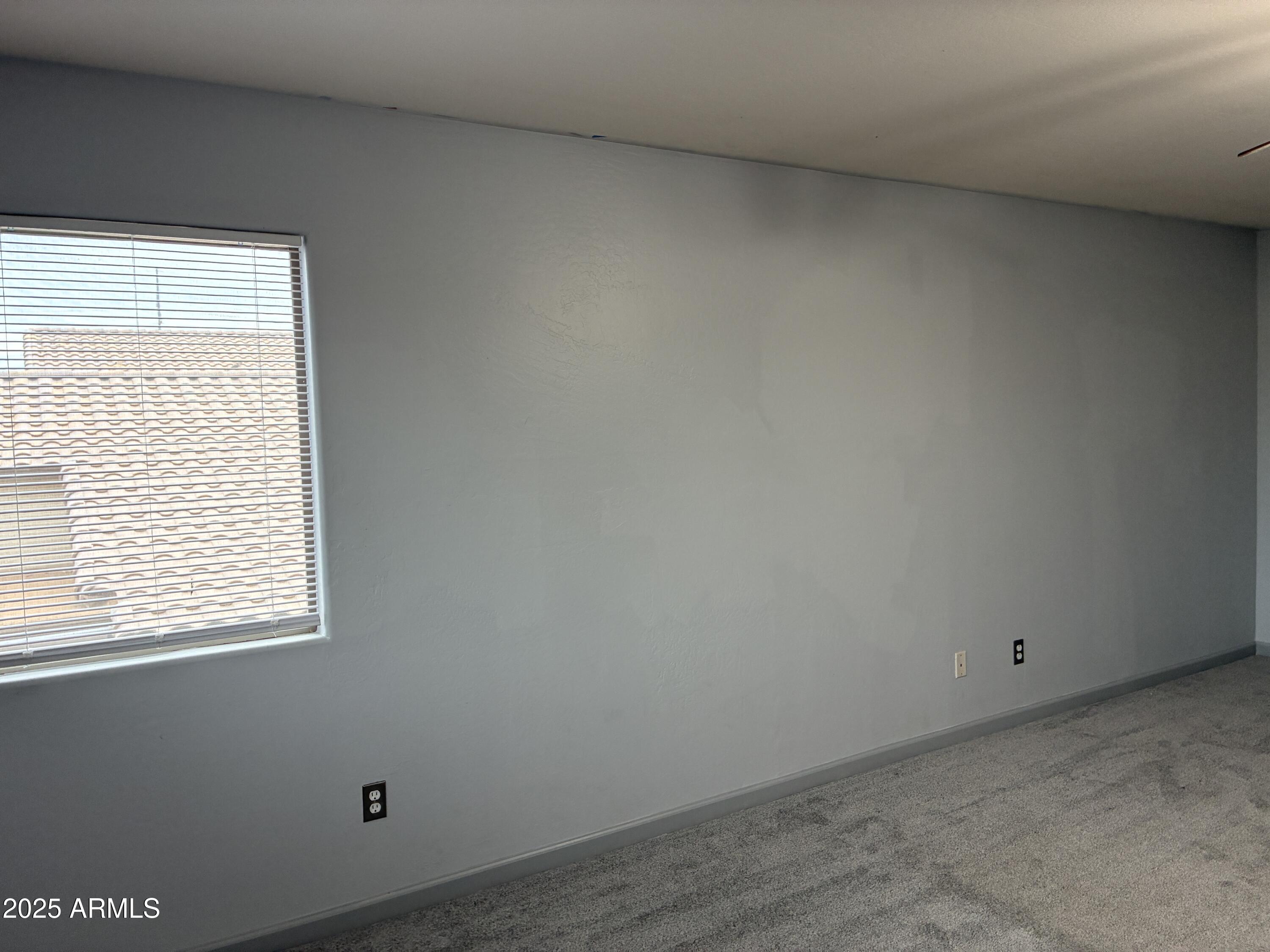 25550 West Pioneer Street Buckeye, AZ 85326 - Photo 17 of 40 IMG_7819