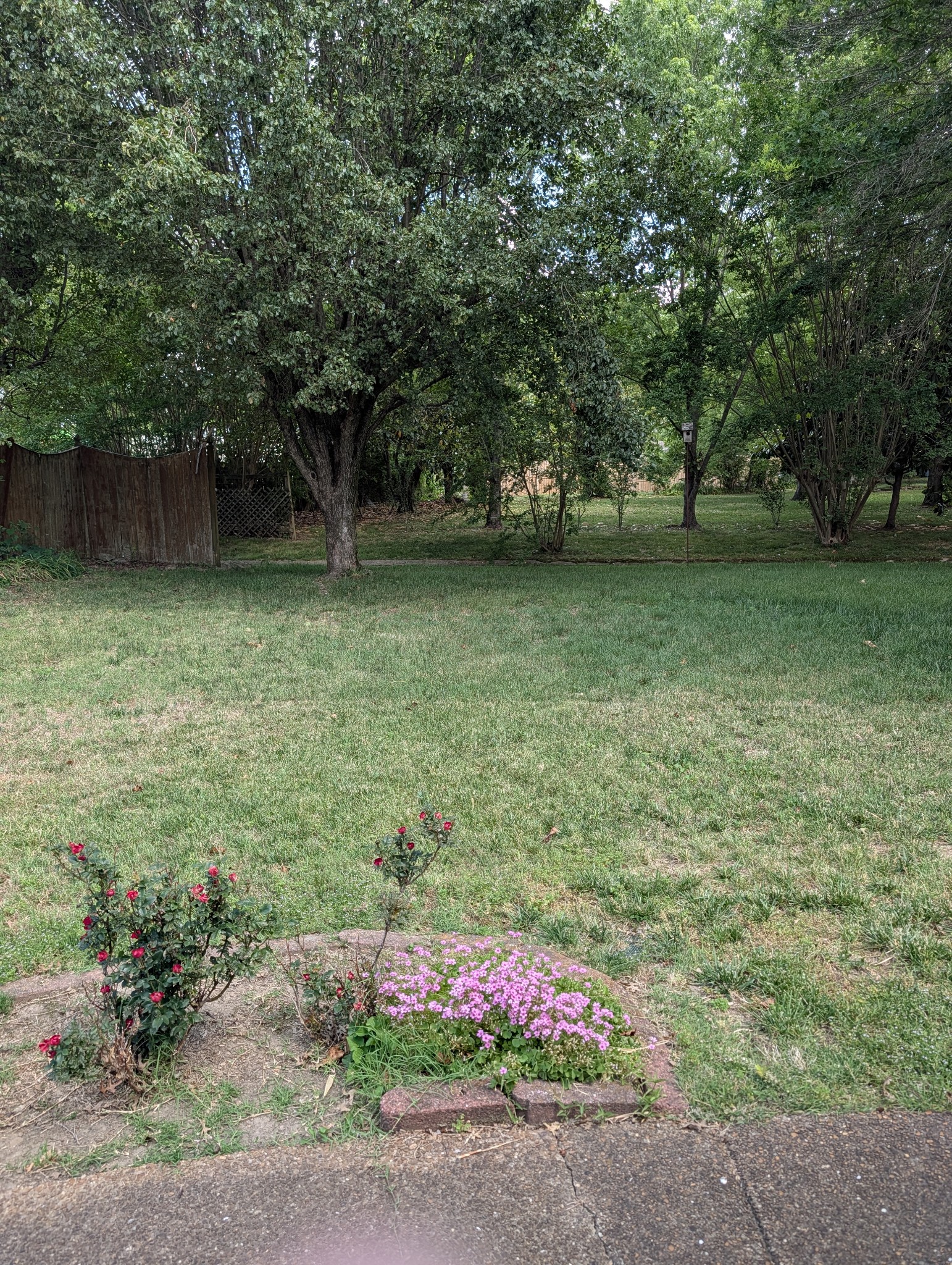 1401 Joe Pyron Drive Madison, TN 37115 - Photo 6 of 12 a backyard of a house with lots of green space