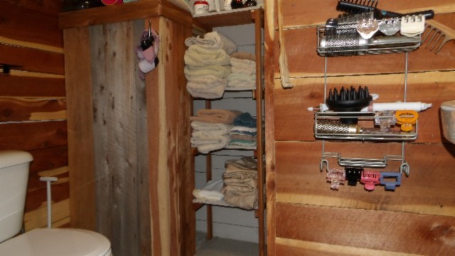 1586 Needmore Road Old Hickory, TN 37138 - Photo 12 of 45 a bathroom with a toilet and shower