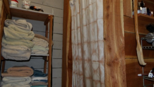 1586 Needmore Road Old Hickory, TN 37138 - Photo 13 of 45 a bathroom with a toilet and shower