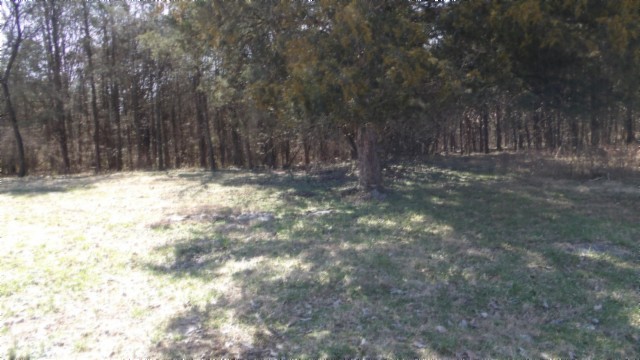 1586 Needmore Road Old Hickory, TN 37138 - Photo 22 of 45 a view of a yard with large trees