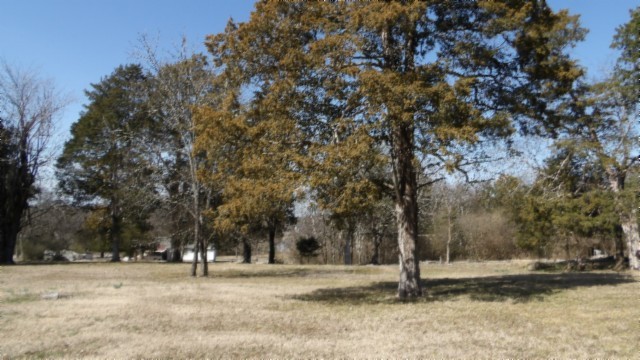 1586 Needmore Road Old Hickory, TN 37138 - Photo 26 of 45 a view of yard with trees