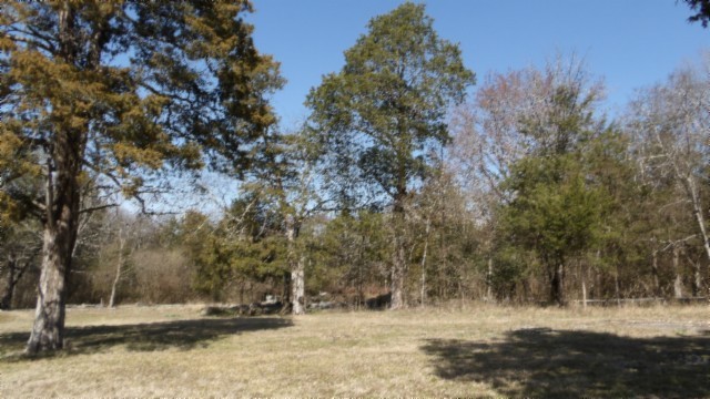 1586 Needmore Road Old Hickory, TN 37138 - Photo 27 of 45 a view of yard