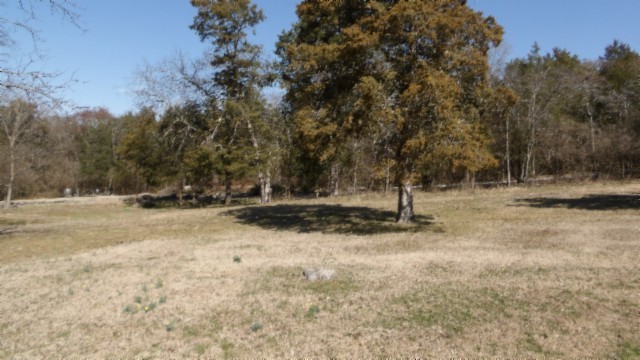 1586 Needmore Road Old Hickory, TN 37138 - Photo 29 of 45 a view of yard