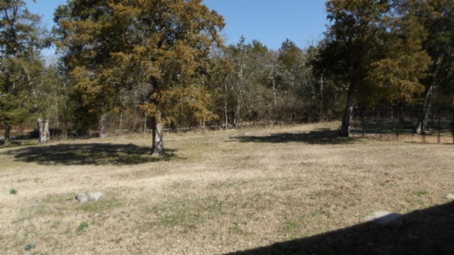 1586 Needmore Road Old Hickory, TN 37138 - Photo 30 of 45 a view of outdoor space with trees