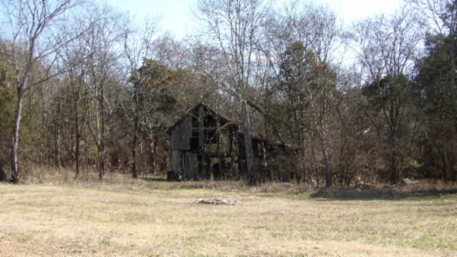 1586 Needmore Road Old Hickory, TN 37138 - Photo 34 of 45 a view of a yard with trees