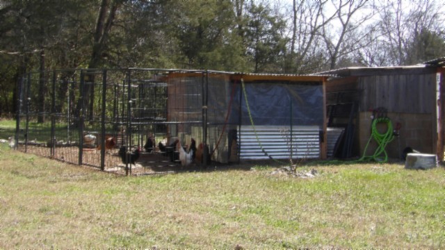 1586 Needmore Road Old Hickory, TN 37138 - Photo 41 of 45 a view of a house with a small yard and wooden fence