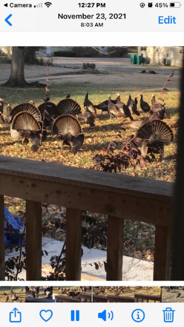 1586 Needmore Road Old Hickory, TN 37138 - Photo 45 of 45