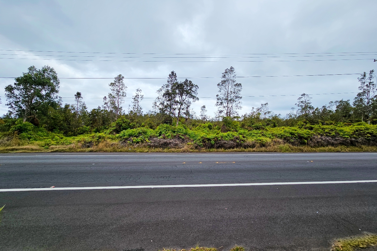 1374 Volcano Road Volcano, HI 96785 - Photo 1 of 4 a view of a garden