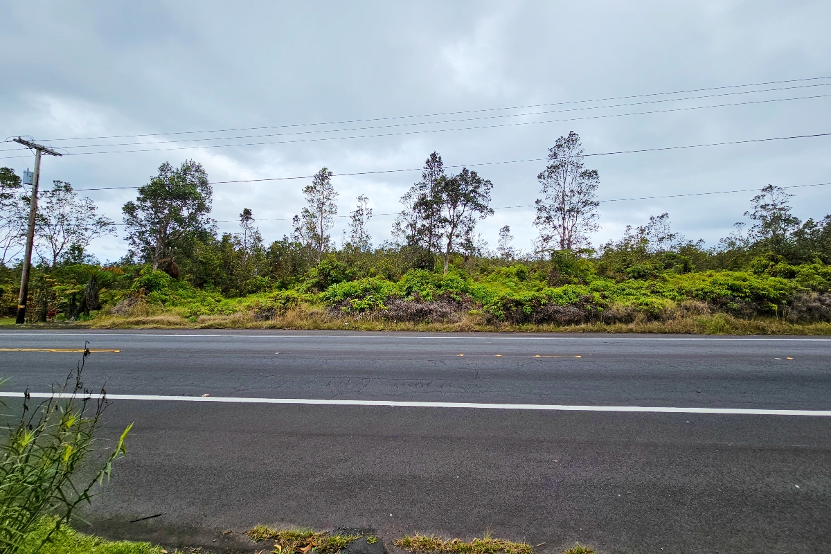 1374 Volcano Road Volcano, HI 96785 - Photo 4 of 4 a view of a garden