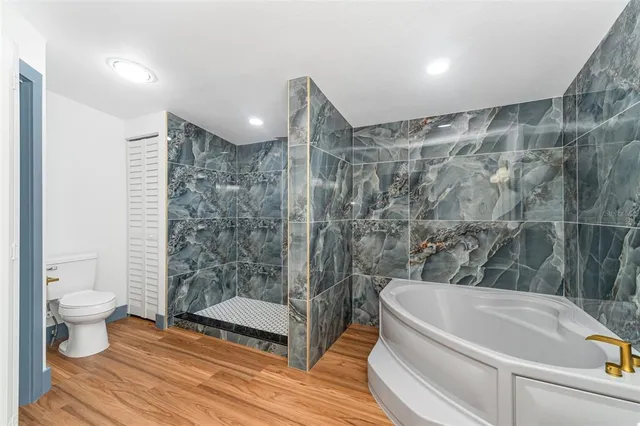 a bathroom with a bathtub and a toilet